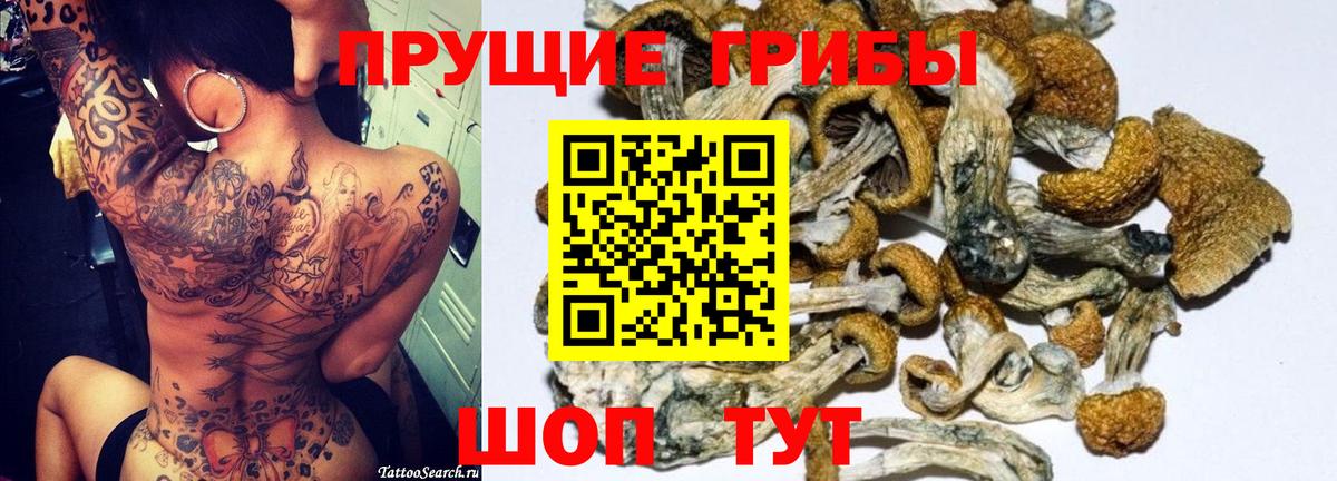Томск  Псилоцибиновые грибы GOLDEN TEACHER  Галлюциногенные грибы Psilocybe  Вход с VPN 