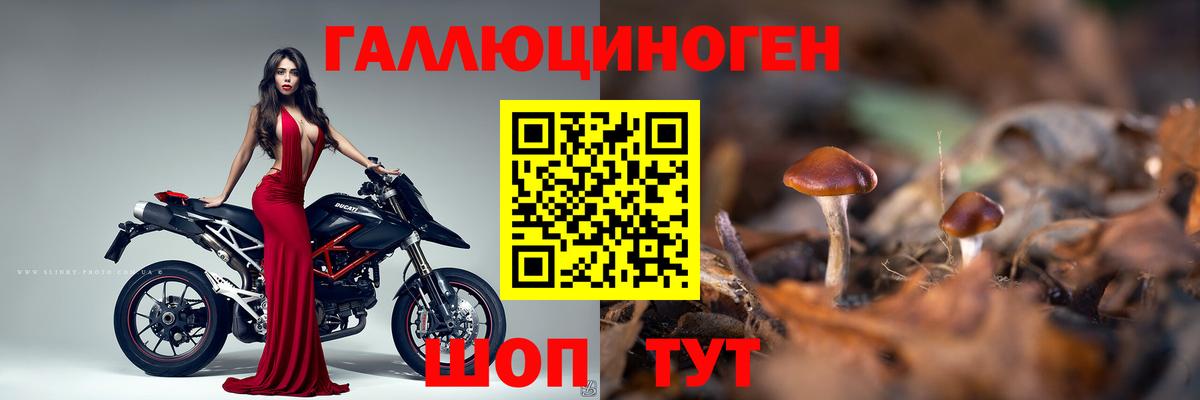 Галлюциногенные грибы мицелий Томск